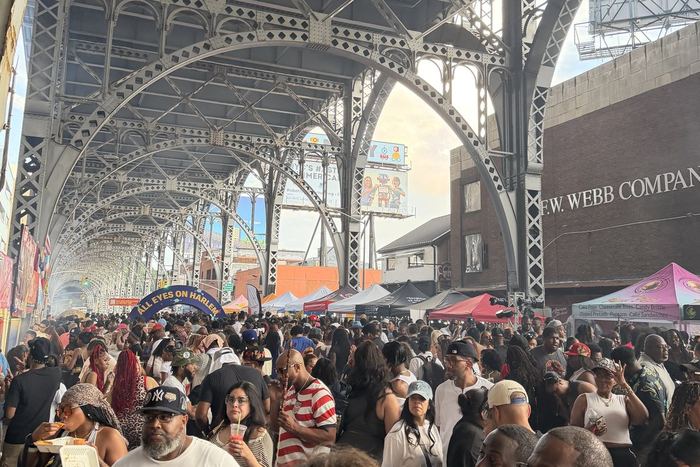 The crowd packed under the Viaduct arches at Harlem Summer Nights.